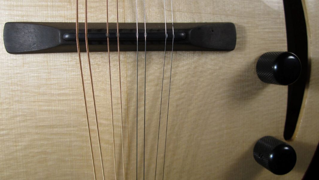 laughlin electric mandolin